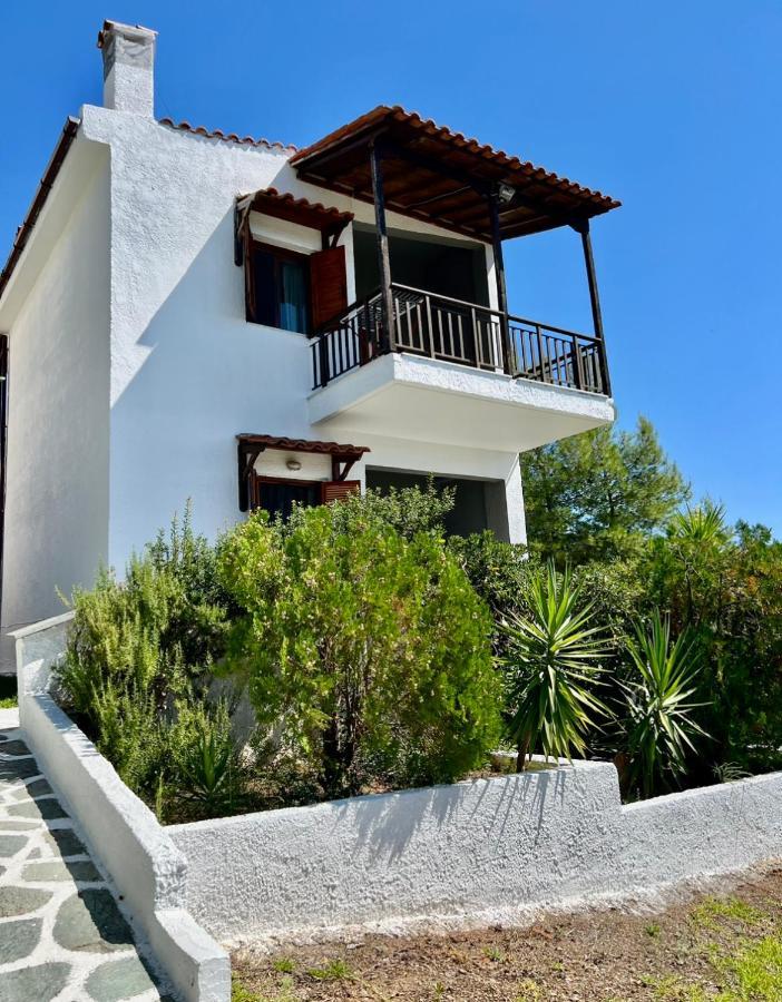 Summer Luxury Villa With Sea View Metamorfosi  Dış mekan fotoğraf