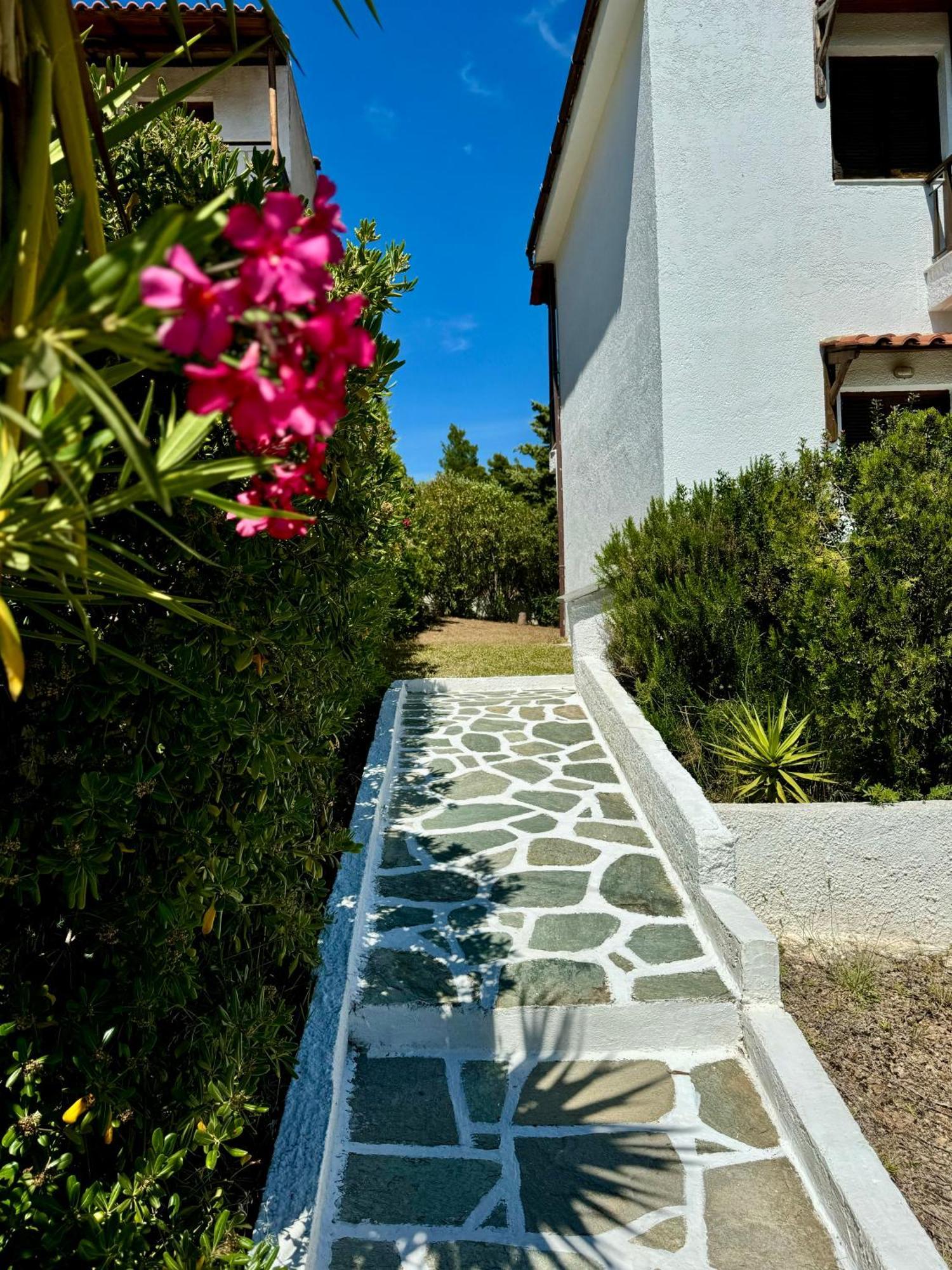 Summer Luxury Villa With Sea View Metamorfosi  Dış mekan fotoğraf