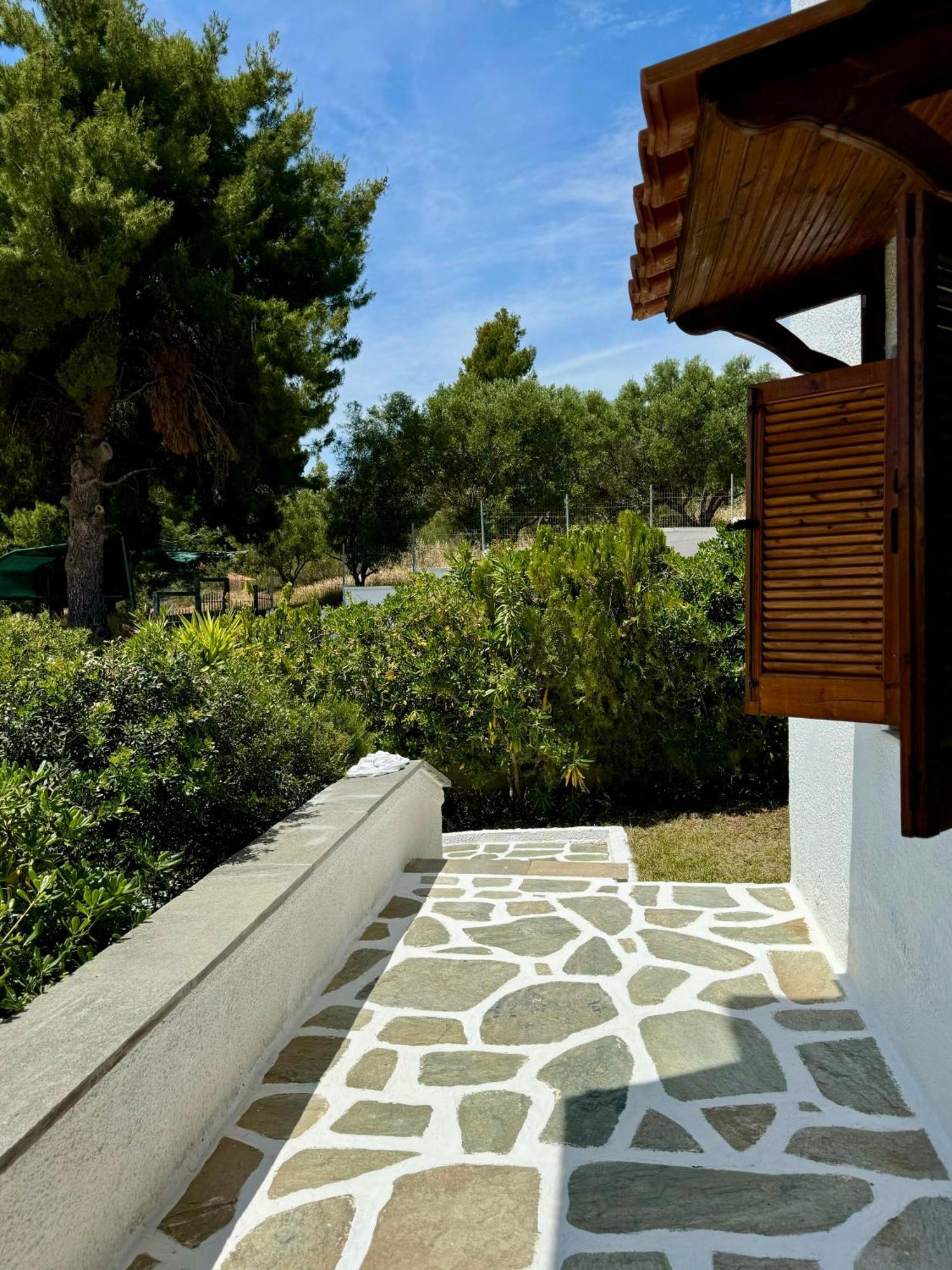 Summer Luxury Villa With Sea View Metamorfosi  Dış mekan fotoğraf